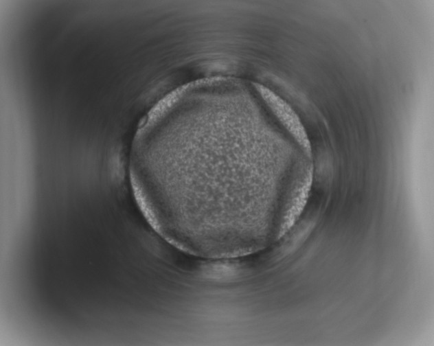 X0000101710282200807311458