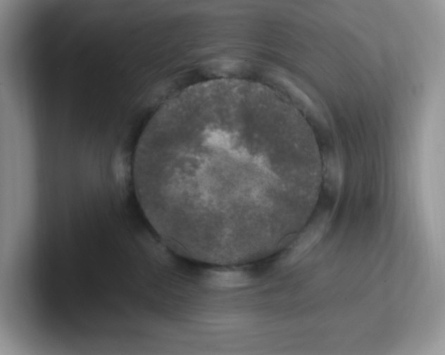 X0000101710284200807311458