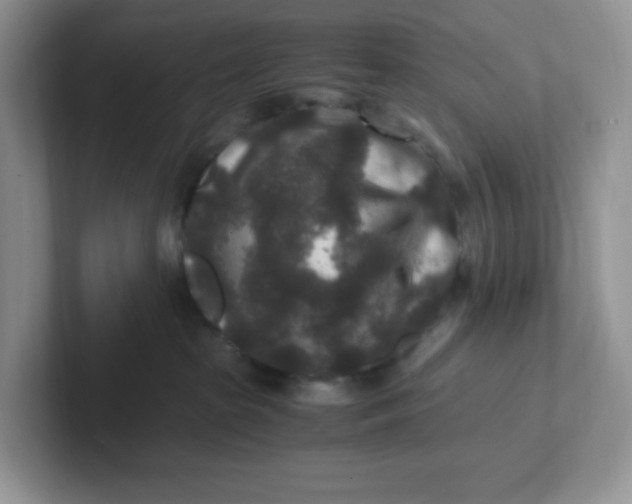 X0000101710285200807311458