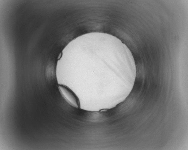 X0000101710287200807311458