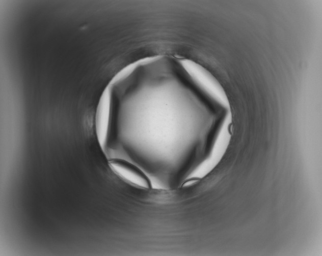 X0000101710288200807311458