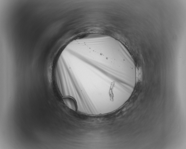 X0000101710291200807311457