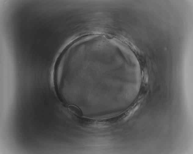 X0000101710292200807311457