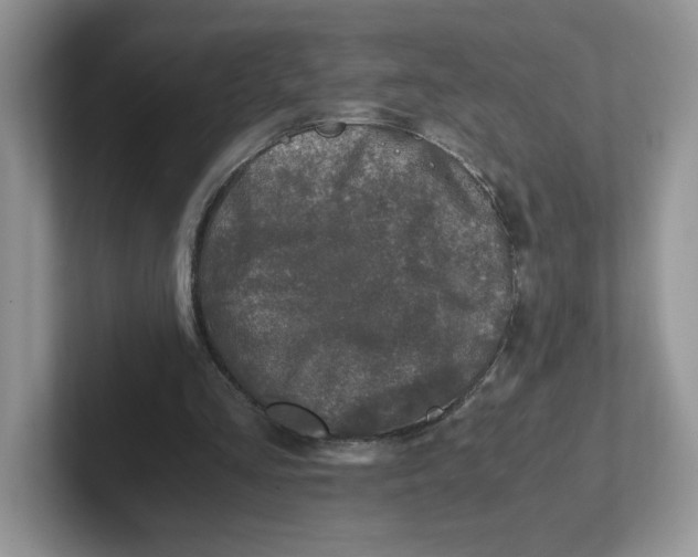 X0000101710293200807311457