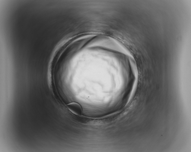 X0000101710294200807311457