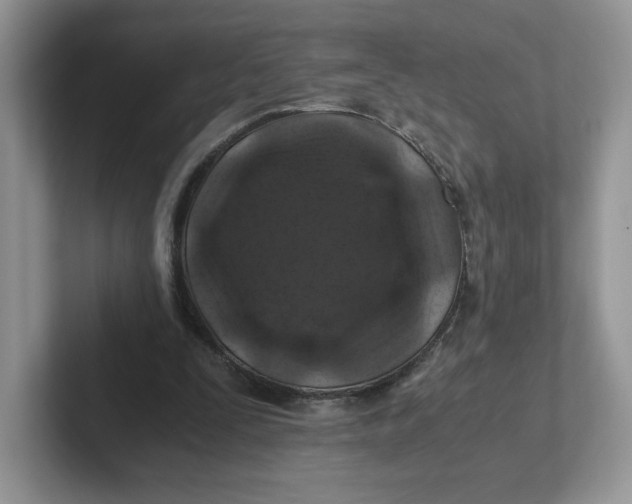 X0000101710295200807311457