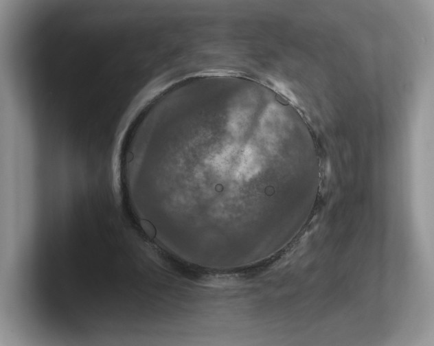 X0000101710296200807311457