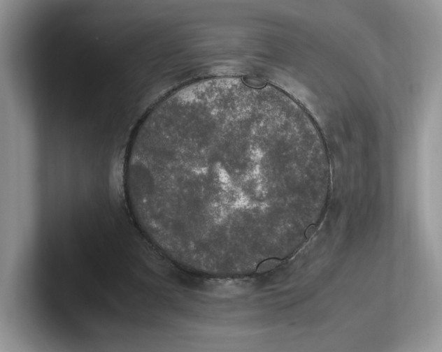 X0000101710297200807311457