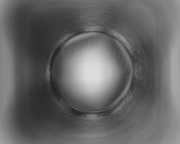 X0000101710298200807311457