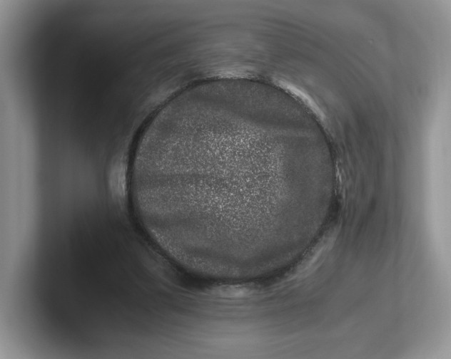 X0000101710299200807311457