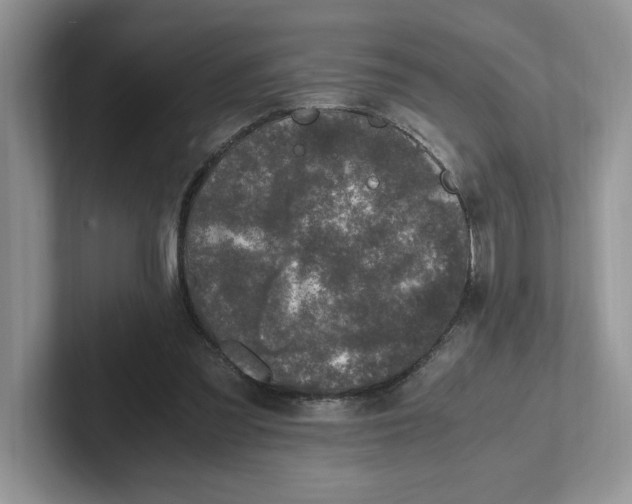 X0000101710301200807311457