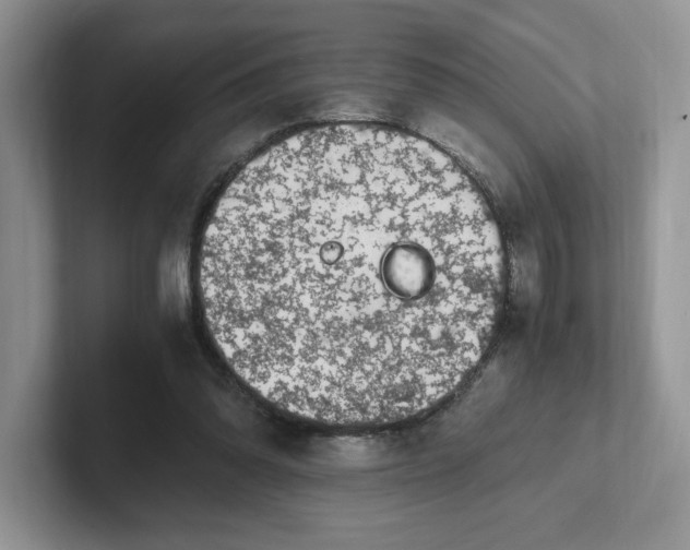 X0000101710302200807311457