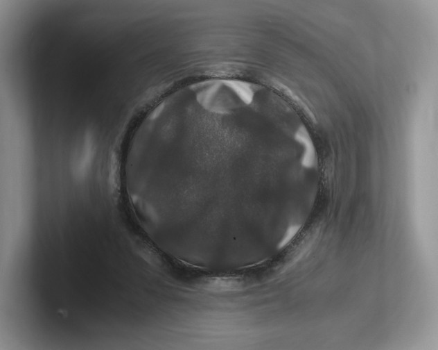 X0000101710303200807311457