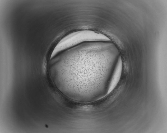 X0000101710304200807311457