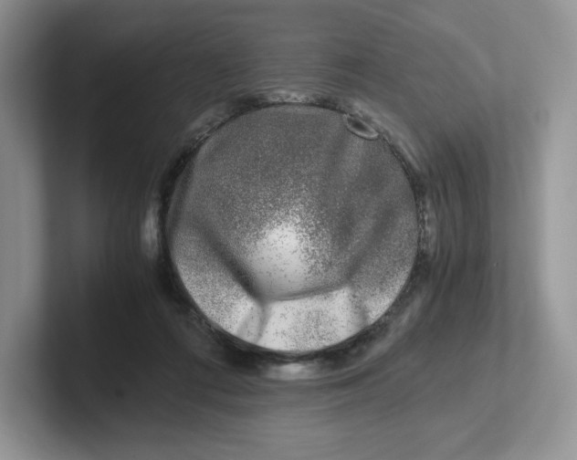 X0000101710312200807311457