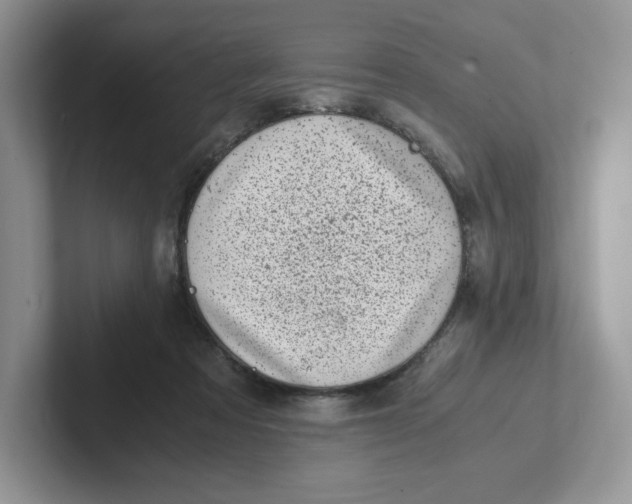 X0000101710313200807311457