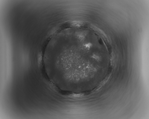 X0000101710314200807311457