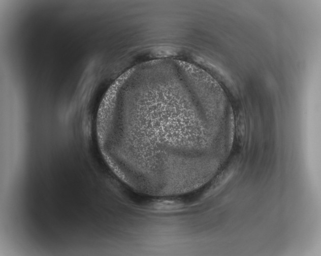 X0000101710315200807311457