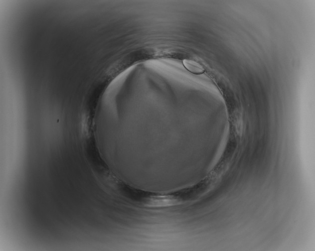 X0000101710316200807311457