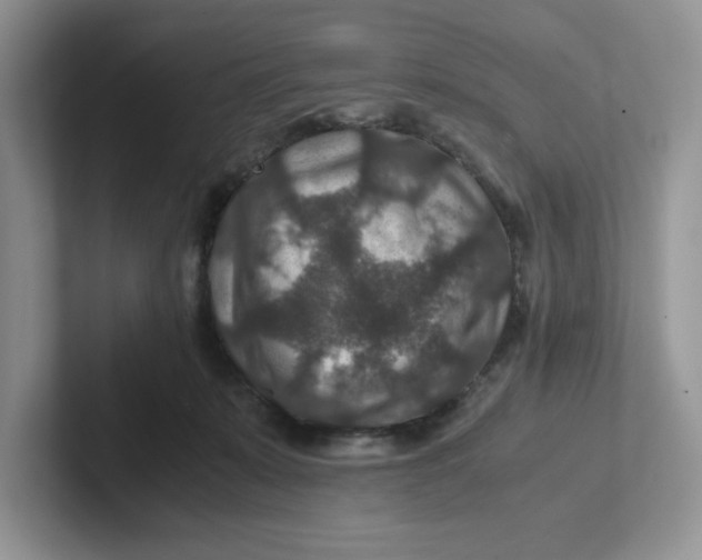 X0000101710319200807311457