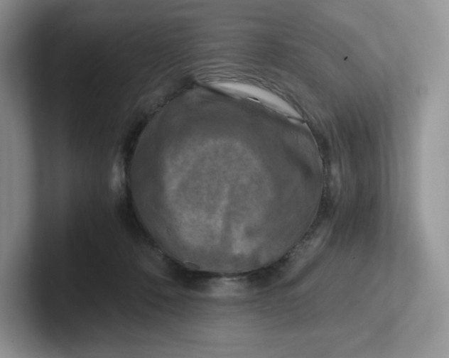 X0000101710320200807311457