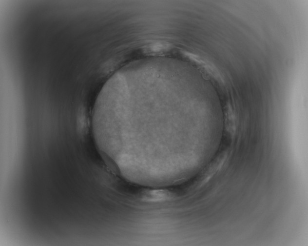 X0000101710324200807311457