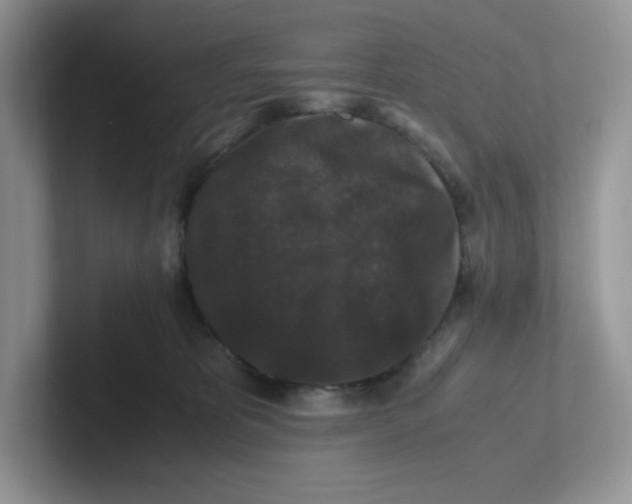 X0000101710325200807311457