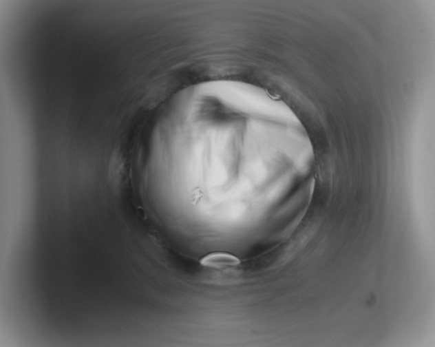 X0000101710327200807311457