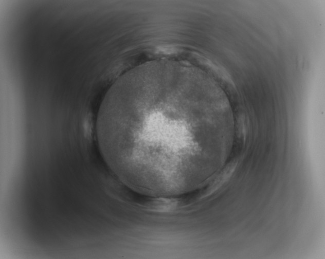 X0000101710328200807311457