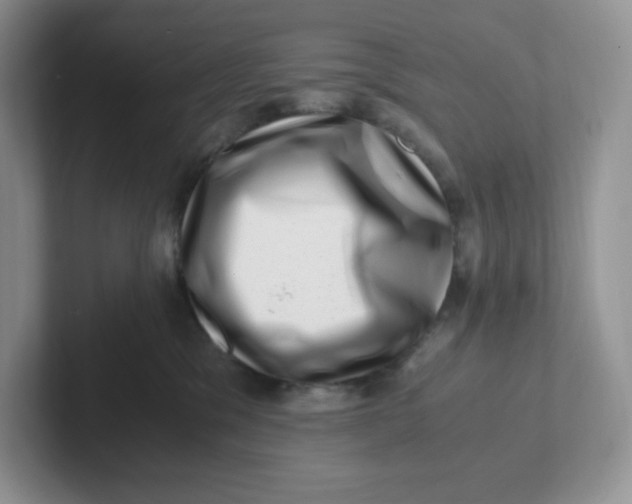 X0000101710329200807311457