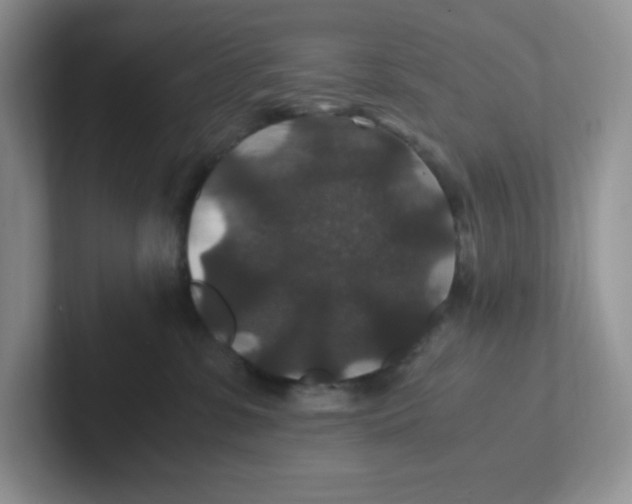 X0000101710331200807311457