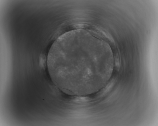 X0000101710332200807311457