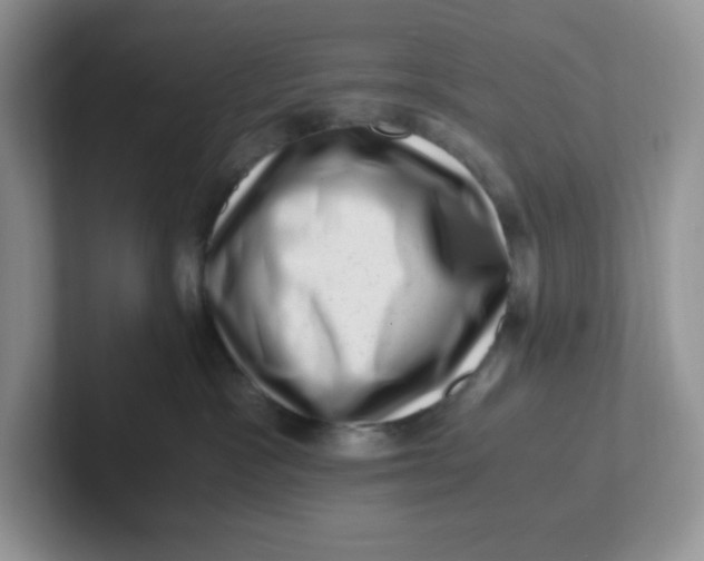 X0000101710333200807311457