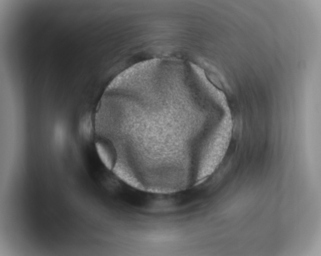 X0000101710335200807311457