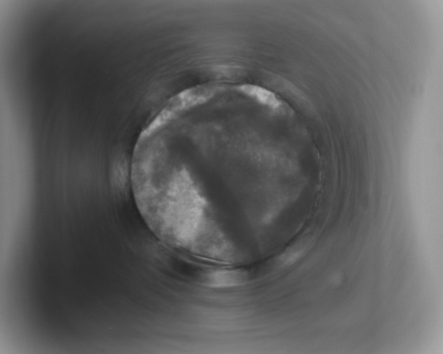X0000101710336200807311457