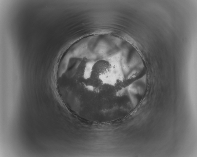 X0000101710337200807311456