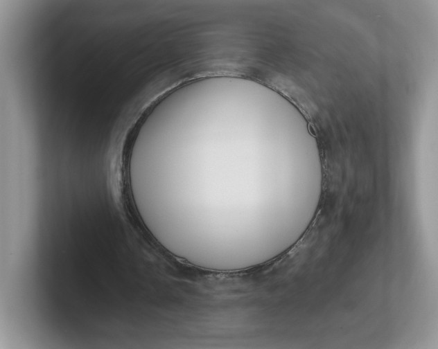 X0000101710338200807311456