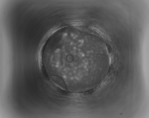 X0000101710339200807311456