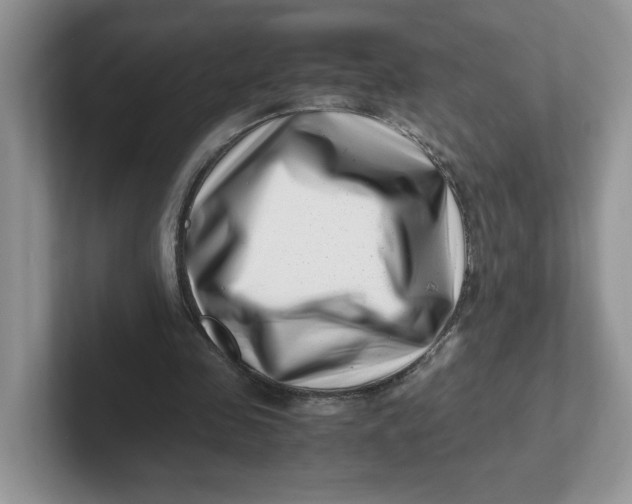 X0000101710341200807311456