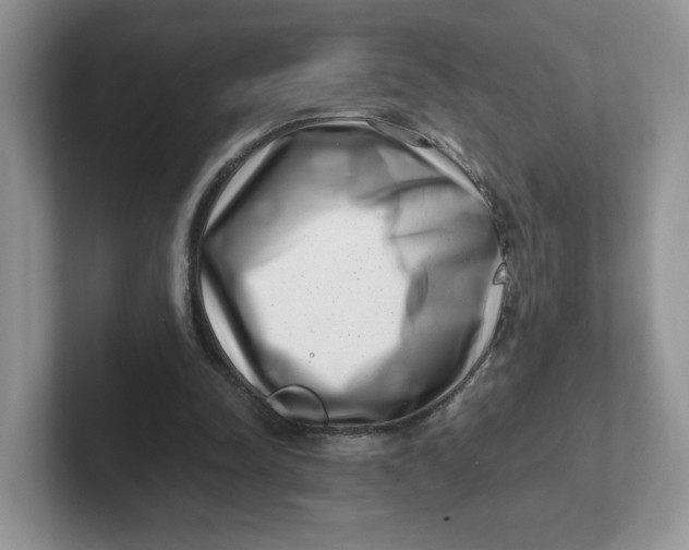 X0000101710342200807311456