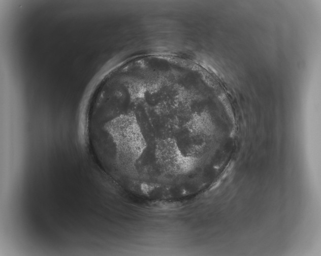 X0000101710343200807311456