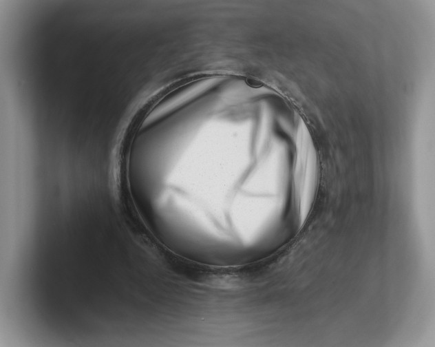 X0000101710344200807311456