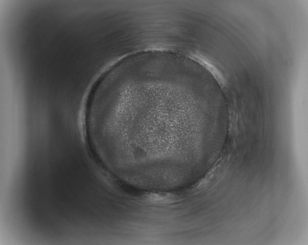 X0000101710346200807311456