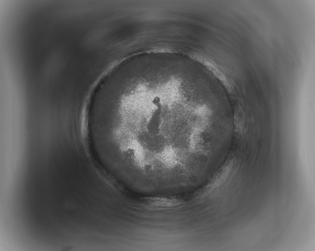 X0000101710347200807311456