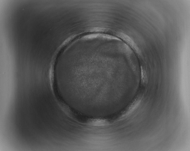 X0000101710348200807311456