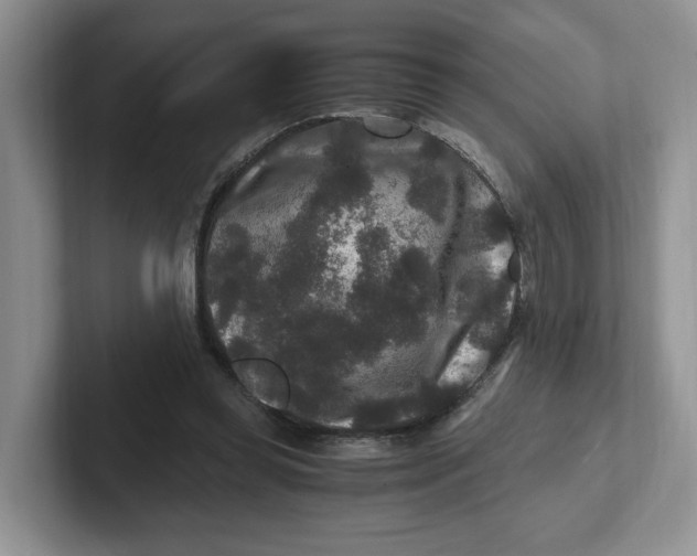 X0000101710349200807311456