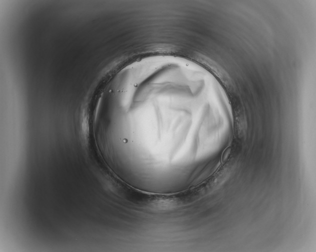 X0000101710350200807311456