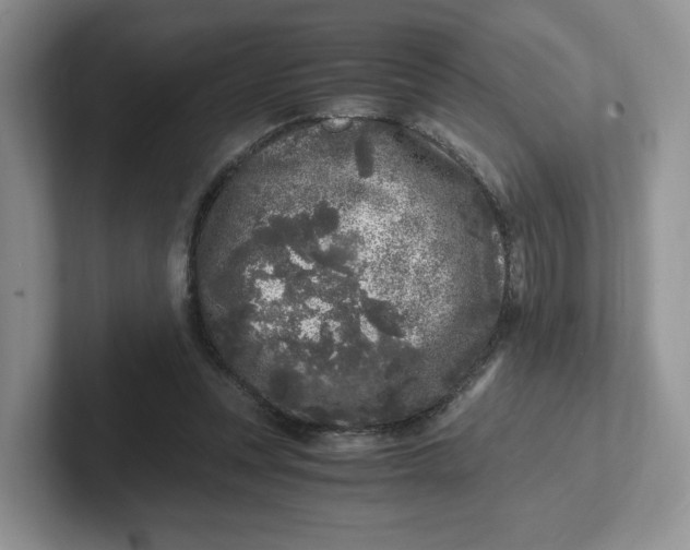 X0000101710351200807311456