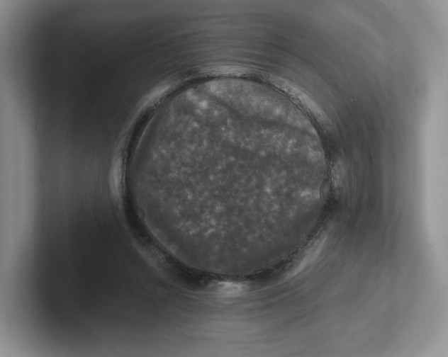 X0000101710352200807311456