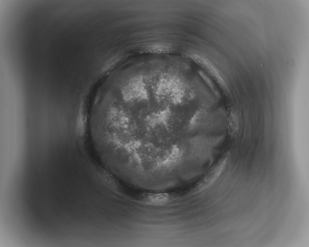 X0000101710355200807311456